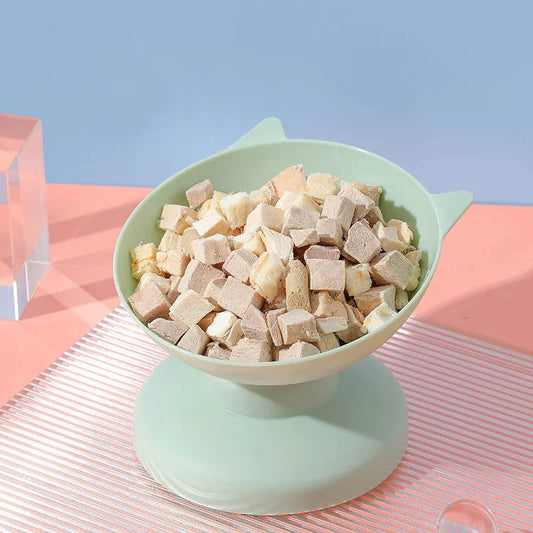 TiltBowl 🥣🐾 – Tilted & Spill-Proof Pet Feeding Bowl