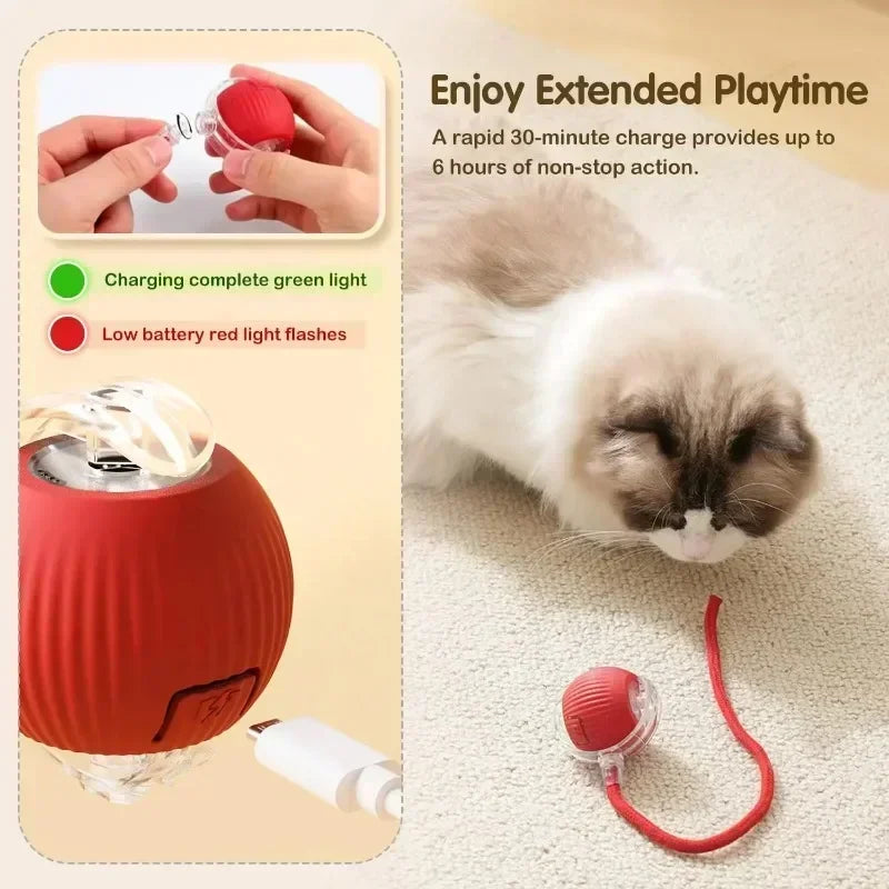 Interactive Magic Ball Automatic – Endless Fun