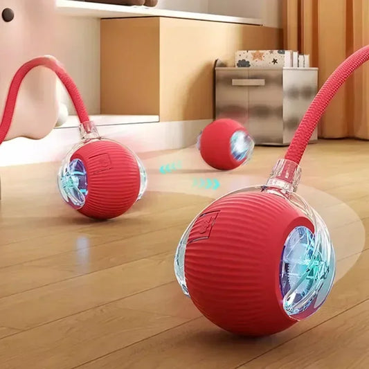 Interactive Magic Ball Automatic – Endless Fun