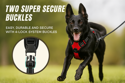 Professional dog harness product image