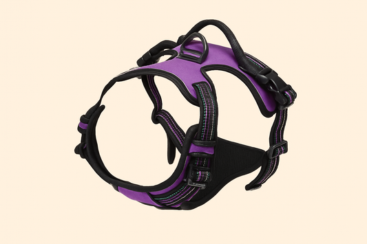 Purple harness with cream background